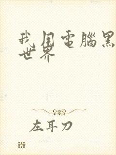 我用电脑黑了全世界