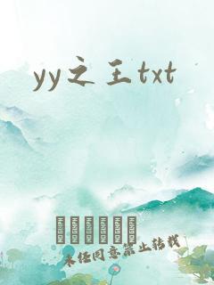 yy之王txt