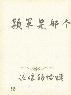 颖军是哪个军阀