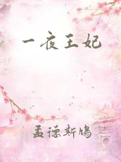 一夜王妃