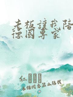 老板让我陪两个德国专家