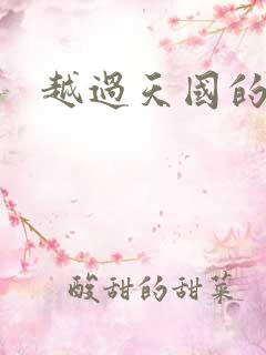 越过天国的国境