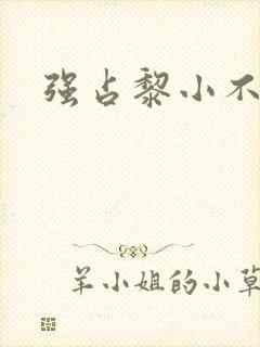 强占黎小不