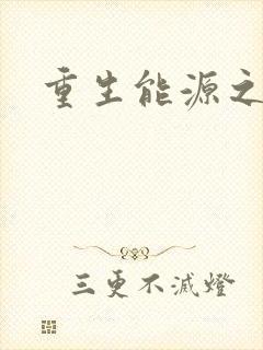 重生能源之王