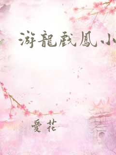 游龙戏凤小说