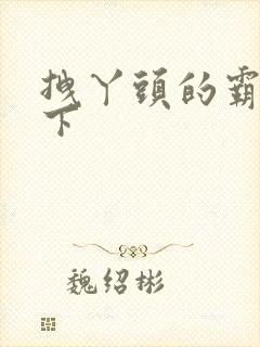 拽丫头的霸道殿下