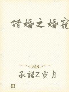 错婚之婚宠一世