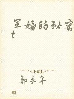 军婚的秘密txt