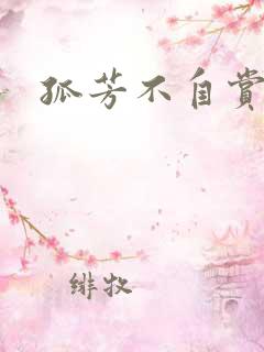孤芳不自赏小说