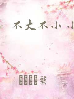 不大不小 小说