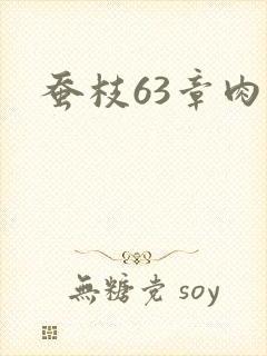 蚕枝63章肉