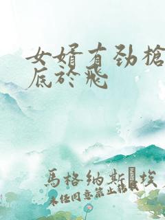 女婿有劲枪枪到底于飞