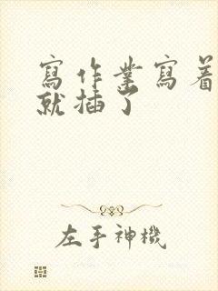 写作业写着写着就插了