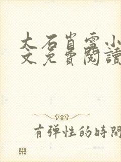 大石肖雪小说全文免费阅读