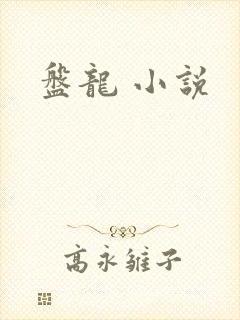 盘龙 小说