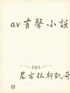 av有声小说