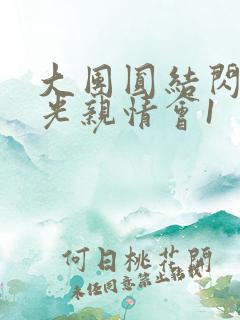 大团圆结闪闪发光亲情会1