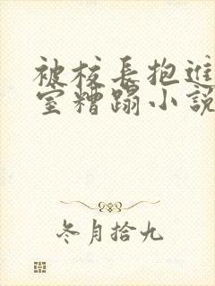 被校长抱进办公室糟蹋小说