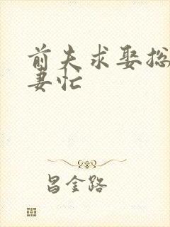 前夫求娶总裁追妻忙