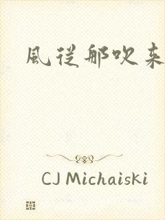 风从那吹来小说