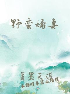 野蛮娇妻