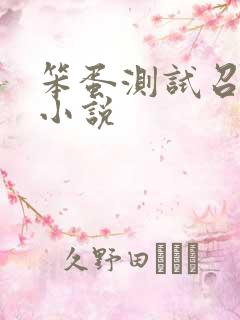 笨蛋测试召唤兽小说