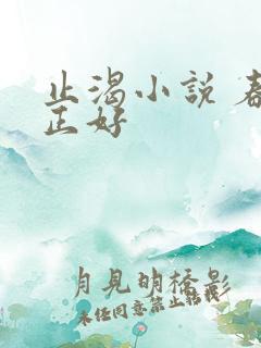 止渴小说 春光正好