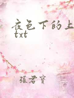 夜色下的上海滩 txt