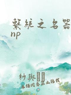系统之名器攻略np