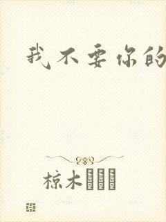 我不要你的承诺