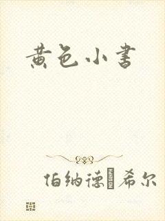黄色小书