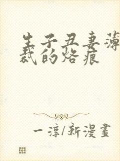 生子丑妻薄情总裁的烙痕