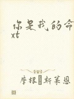 你是我的命运txt