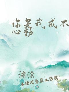 你是我戒不掉的心动