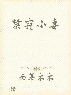 禁宠小妻