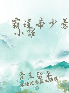 霸道帝少惹不得 小说