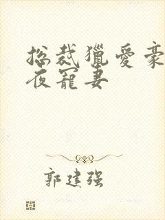 总裁猎爱豪门一夜宠妻