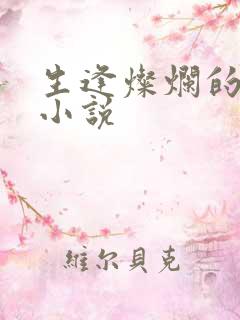 生逢灿烂的日子小说