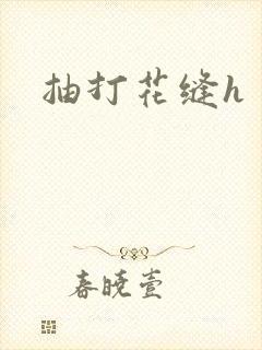 抽打花缝h