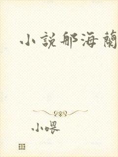 小说那海兰珠