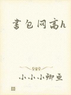 书包网高h