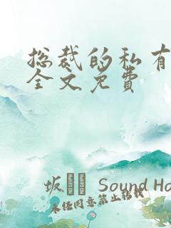 总裁的私有宝贝全文免费