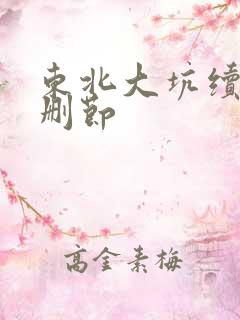 东北大坑续集未删节