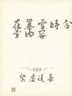 在暴雪时分54章内容