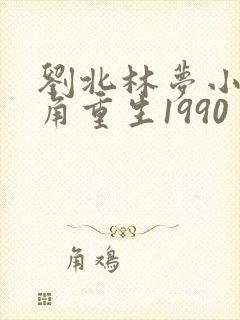 刘北林梦小说主角重生1990