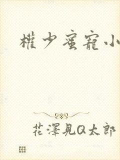 权少蜜宠小娇妻