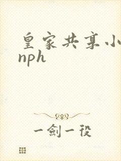皇家共享小公主nph