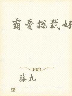 霸爱总裁好生猛