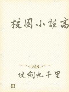 校园小说高h