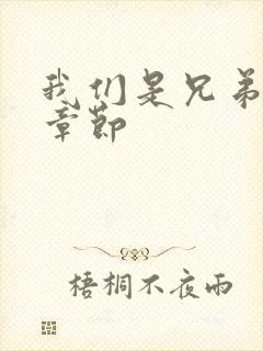 我们是兄弟最新章节